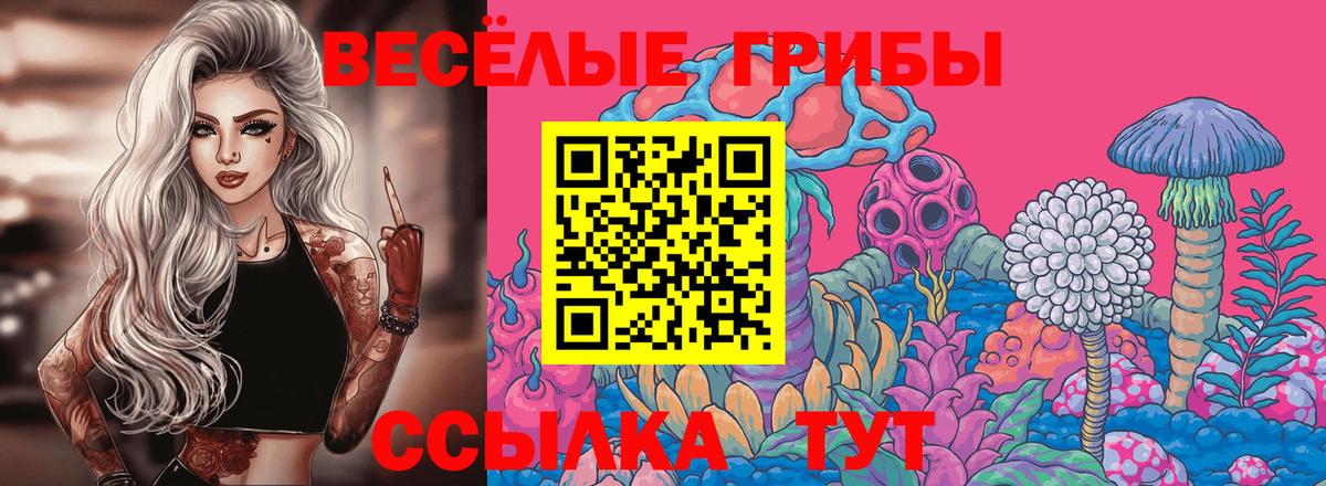 Галлюциногенные грибы Cubensis Оренбург